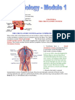 CH 6 - The Circulatory System