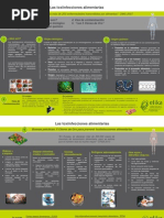 Toxiinfecciones Alimentarias PDF