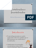 Vertebrados e Invertebrados