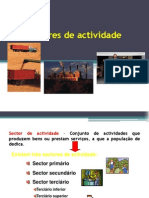 Os Sectores de Actividade PDF