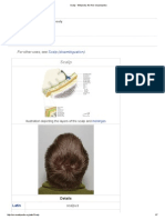 Scalp PDF