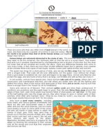 Reading Comprehension Exercise Level: Leaf-Cutting Ants An Ant Colony The Anatomy of The Ant