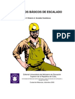 Escalado en Ingenieria PDF