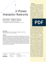 Modeling of Protein Interaction Networks: Alexei Vázquez Alessandro Flammini Amos Maritan Alessandro Vespignani