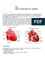 Analítica de Sangre