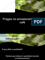 Pragas Armazenamento Café