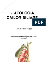 Patologia Cailor Biliare