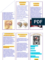 Triptico Inteligencia Emocional