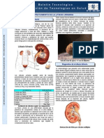 Tratamiento Litiasis