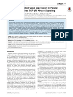 Emdogain-Regulated Gene Expression in Palatal Fibroblasts Requires TGF-bRI Kinase Signaling