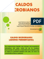 Caldos Microbianos