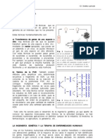 Apuntes - Ingeniería Genética