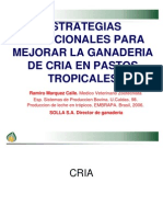 Estrategias Nutricionales para Mejorar La Ganaderia de Cria