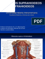 Musculos Suprahioideos e Infrahioideos 1213570191801849 9