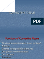 Connective Tissue