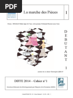 DIFFE 2014 Cahier Debutant 1 PDF