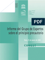 Informe Del Grupo de Expertos Sobre El Principio Precautorio