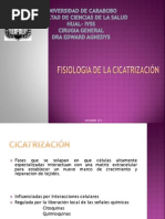 Fisiologia de Cicatrizacion