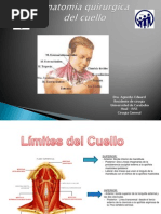 Anatomia Del Cuello