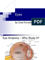 Eye Anatomy