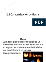 2.1 Caracterización de Flama