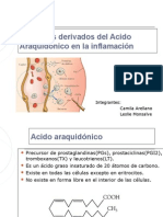 Derivados Del Acido Araquidonico