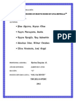 Informe Huevo Dentro Botella