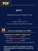 BPPV2011