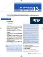 BSP 200.2 13 Atteintes de La Peau PDF