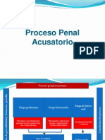 Sistema Penal Acusatorio Resumido