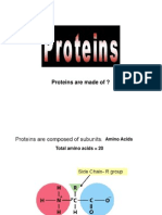 IBT01 L2 Proteins