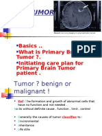 Brain Tumor: Basics .. What Is Primary Brain Tumor ?. Initiating Care Plan For Primary Brain Tumor Patient