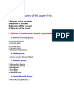 Classification Muscular Groups Upper Limb