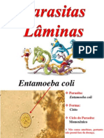 Slide Parasitologia (Lâminas)