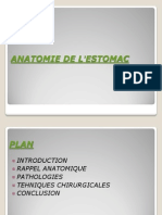 Anatomie Chirurgicale de L'estomac