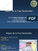 Región de La Fosa Paralumbar