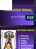 Anatomofisiología Renal