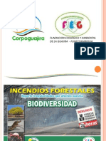 Guia Tecnica para Incendio Forestales