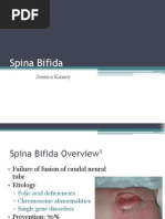 Spina Bifida