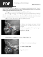 Imagenología en Otorrinolaringología