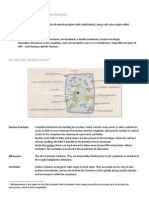 Eukaryotes, Prokaryotes and Cellular Organisation