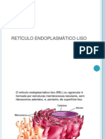 Retículo Endoplasmático Liso