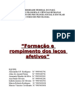 Formação e Rompimento Dos Laços Afetivos