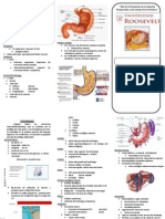 TripTico de Anatomia Del Estomago