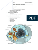 Tema 8 Orgánulos Celulares I