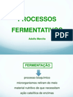 3 Classificacao Dos Processos Fermentativos