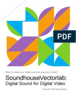 Digital Sound For Digital Video