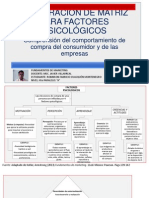 Elaboración de Matriz para Factores Psicológicos