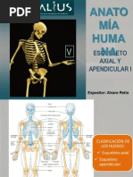 Sistema Oseo Esqueleto Axial