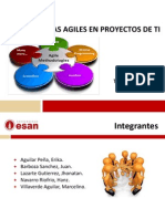 Metodologias Agiles en Proyecto de TI